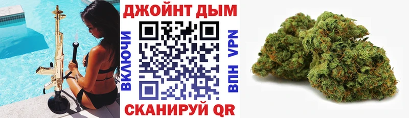 Каннабис OG Kush  Купить где  Советск 
